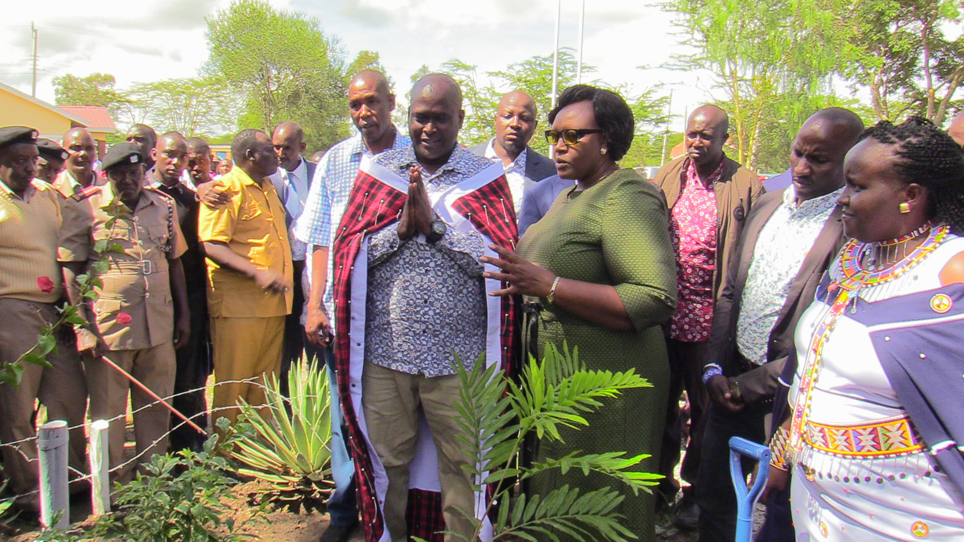 planting tree Hon ole Katoo